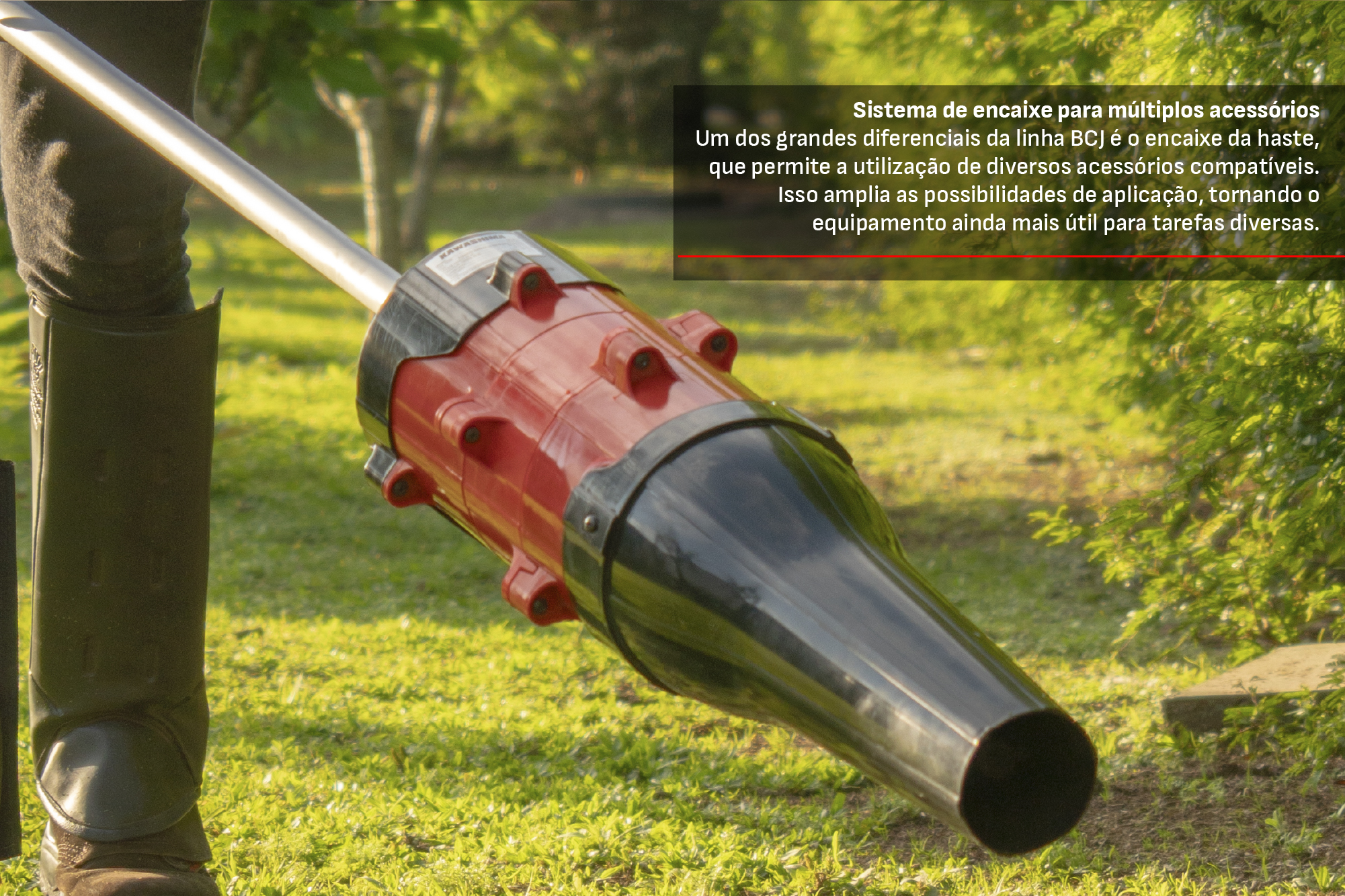 CCM do Brasil - Cód. 4301015